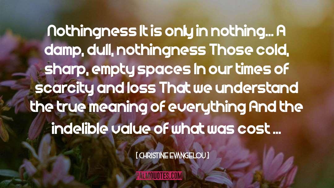 Empty Spaces quotes by Christine Evangelou