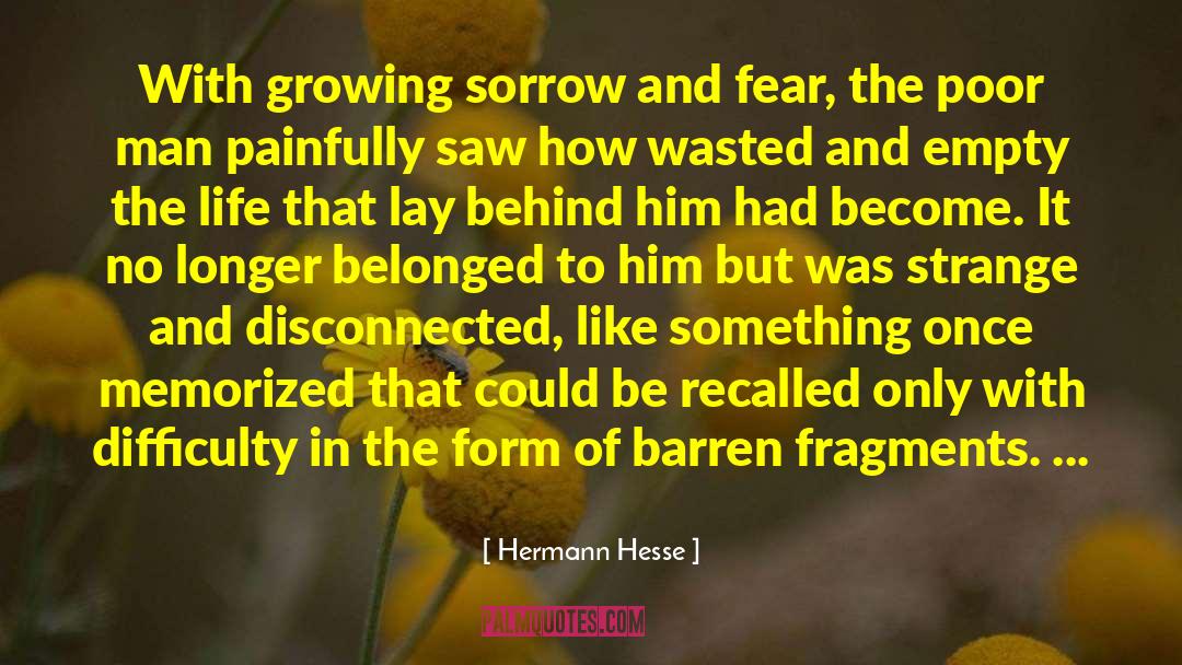 Empty Words quotes by Hermann Hesse