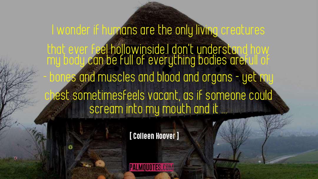 Emptyness quotes by Colleen Hoover