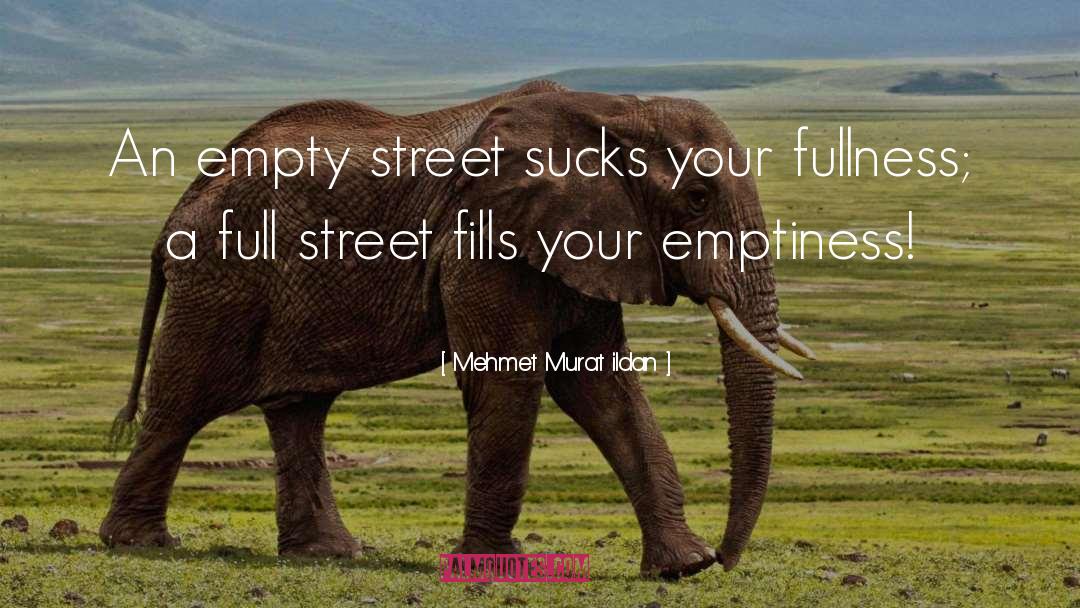 Emptyness quotes by Mehmet Murat Ildan