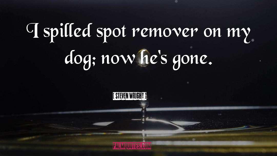 Emulsion Remover quotes by Steven Wright