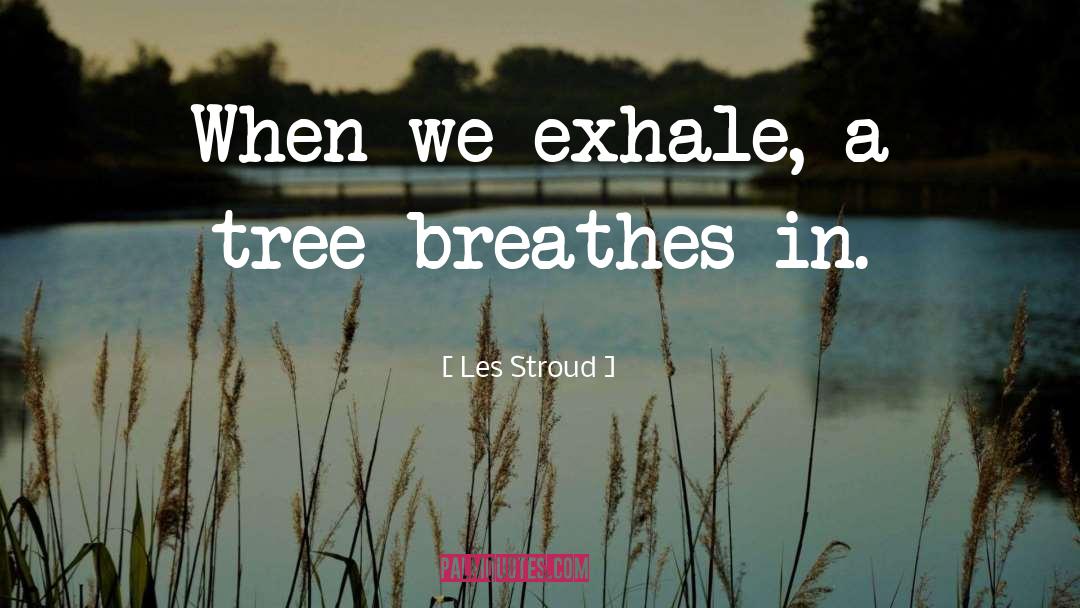 Encadrer Les quotes by Les Stroud