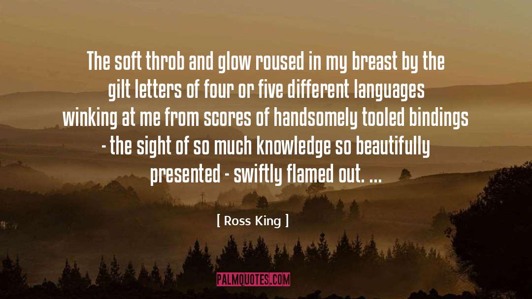 Encapsulated Breast Implant quotes by Ross King