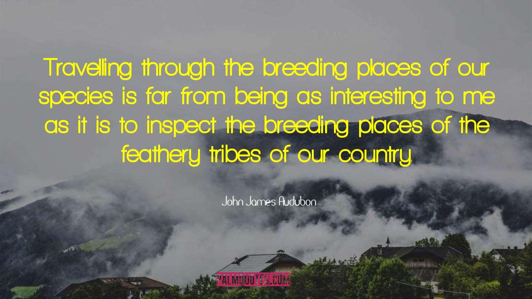 Enchanted Places quotes by John James Audubon