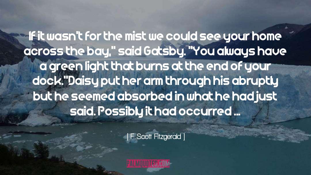 Enchanted quotes by F Scott Fitzgerald