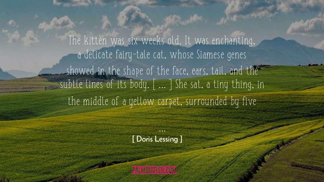 Enchanting quotes by Doris Lessing