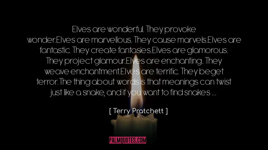 Enchanting quotes by Terry Pratchett