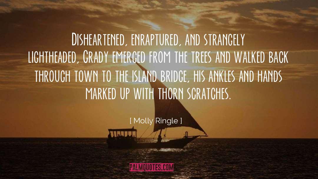 Enchantment quotes by Molly Ringle