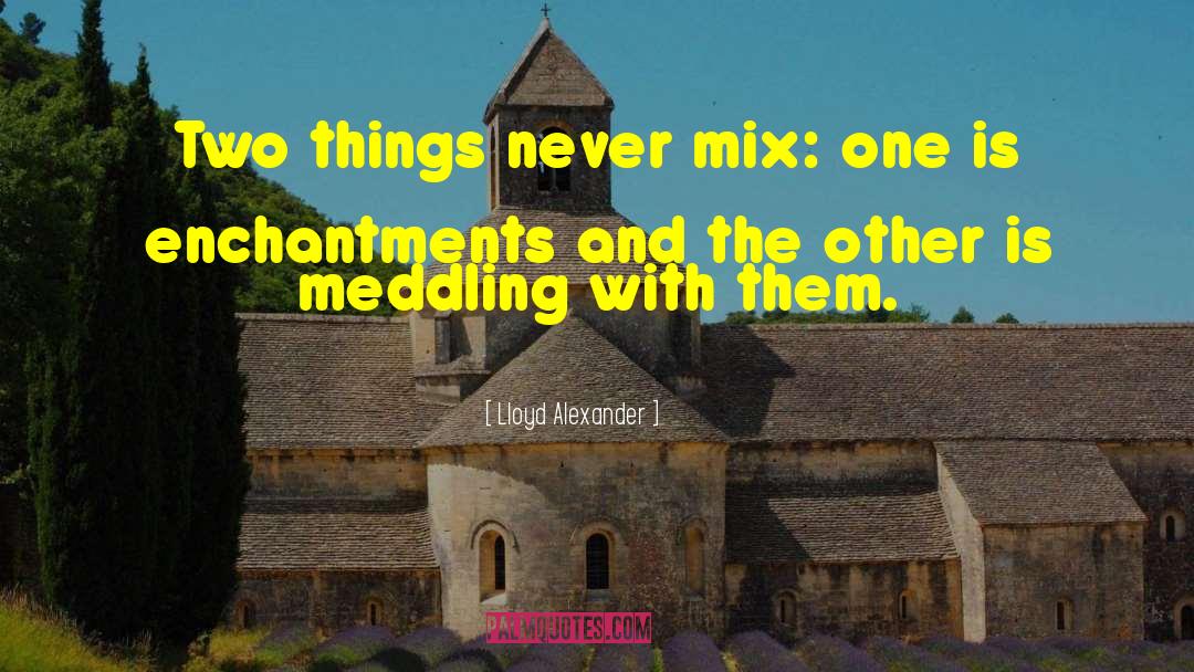 Enchantments quotes by Lloyd Alexander