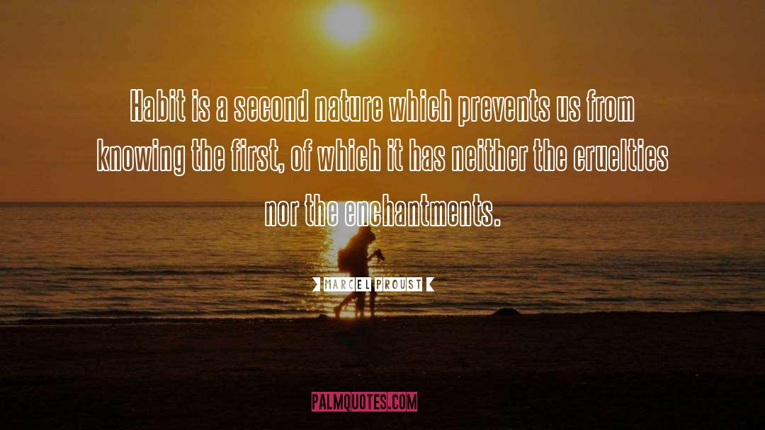 Enchantments quotes by Marcel Proust