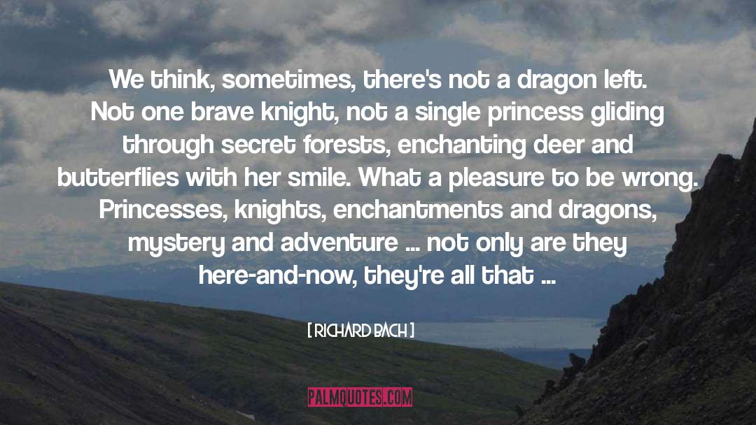 Enchantments quotes by Richard Bach