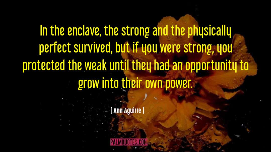 Enclave quotes by Ann Aguirre