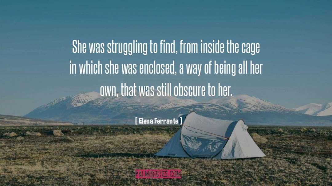 Enclosed quotes by Elena Ferrante