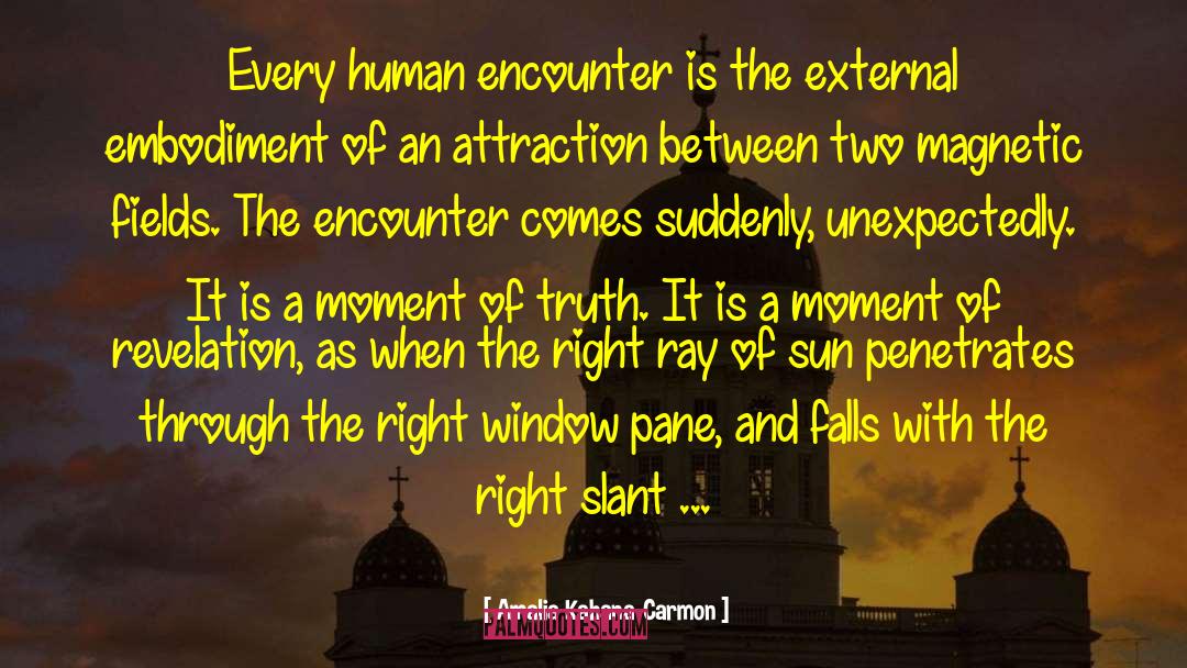 Encounters quotes by Amalia Kahana-Carmon