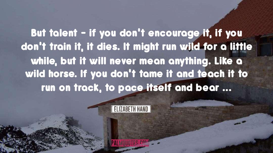Encourage quotes by Elizabeth Hand