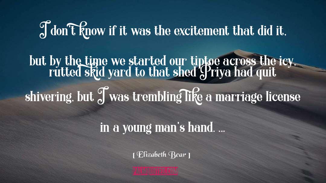Encouraging Marriage quotes by Elizabeth Bear