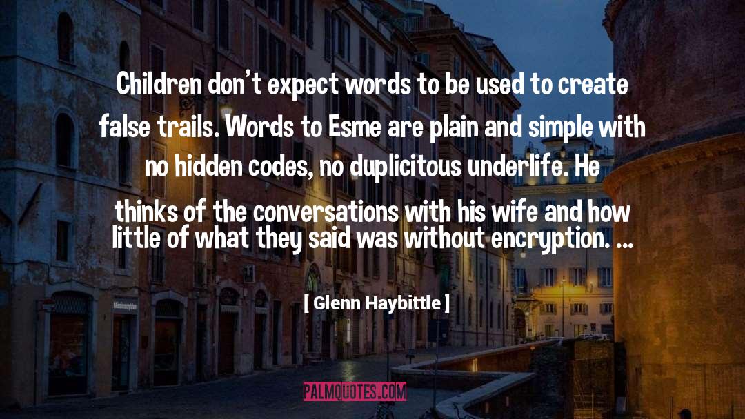 Encryption quotes by Glenn Haybittle