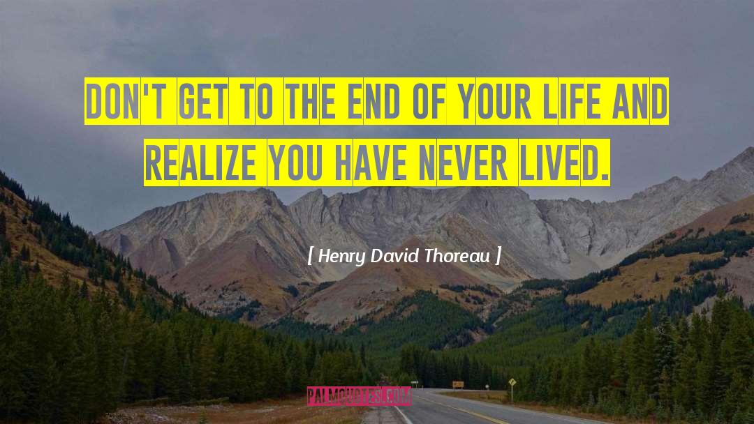 End Goal quotes by Henry David Thoreau
