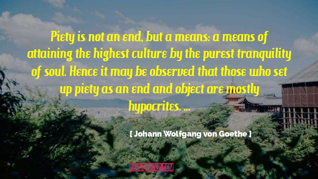 End Justifies The Means quotes by Johann Wolfgang Von Goethe