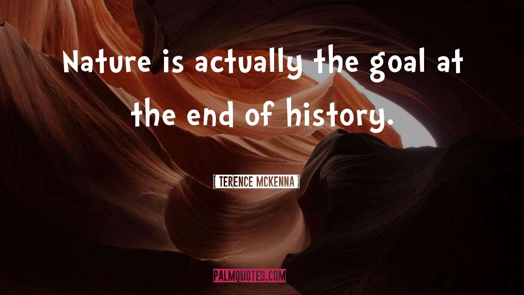 End Of History quotes by Terence McKenna