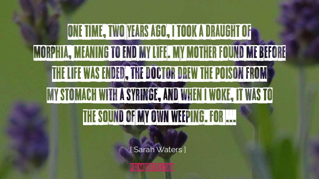 End Of Life Musings quotes by Sarah Waters