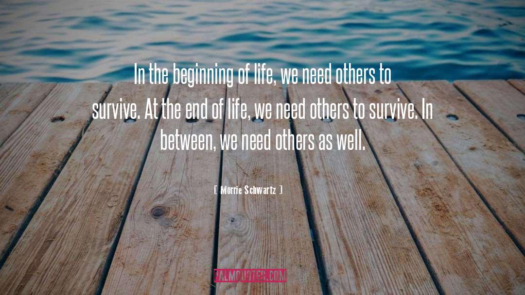 End Of Life quotes by Morrie Schwartz