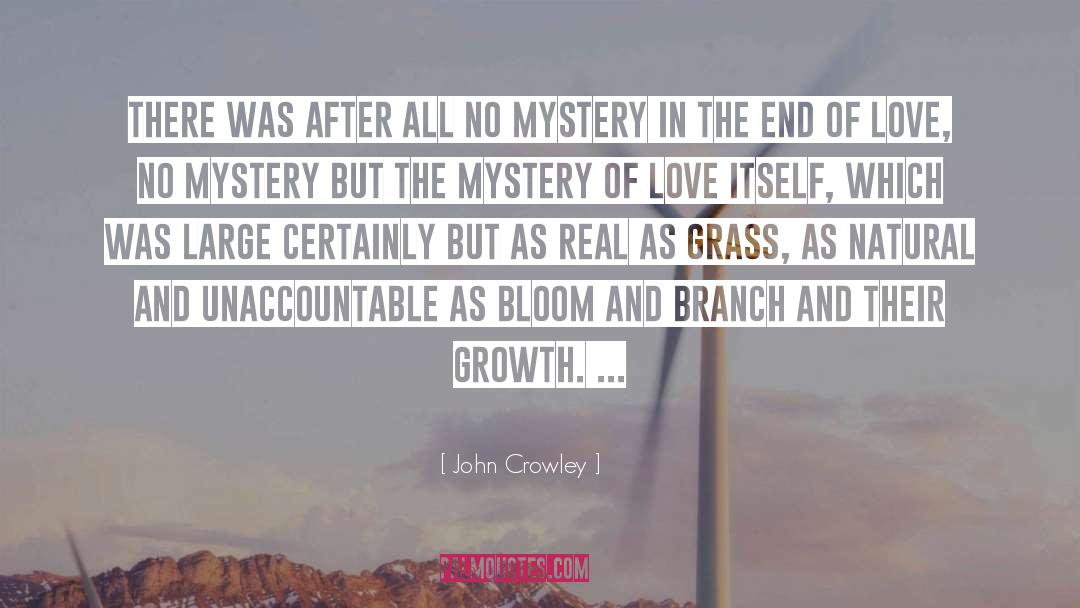 End Of Love quotes by John Crowley