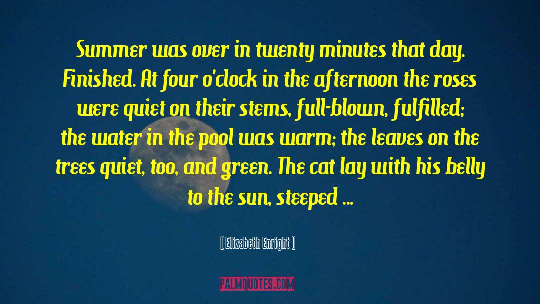 End Of Summer quotes by Elizabeth Enright