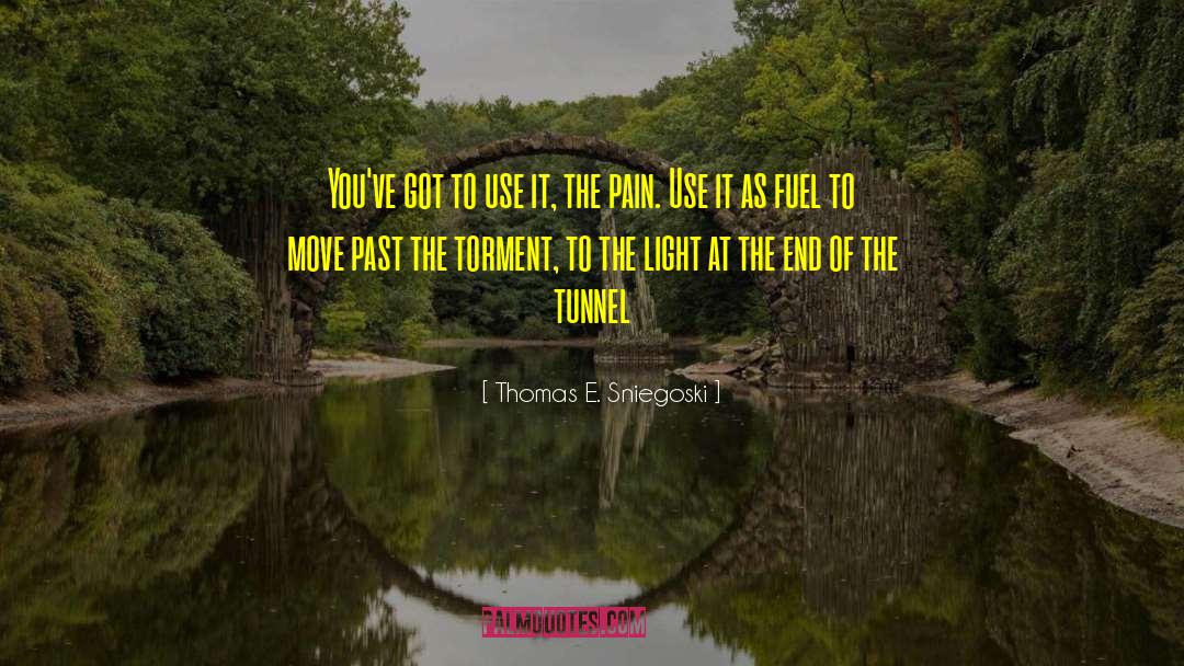 End Of The Tunnel quotes by Thomas E. Sniegoski