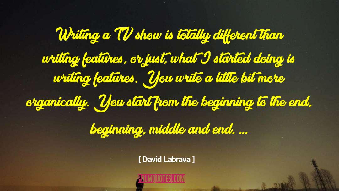 End Start Beginning quotes by David Labrava