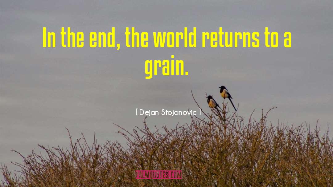 End The World quotes by Dejan Stojanovic