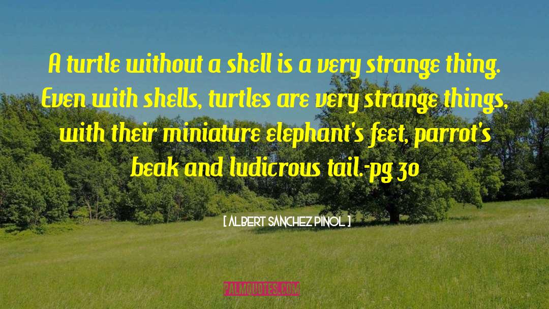 Endangered Turtles quotes by Albert Sanchez Pinol