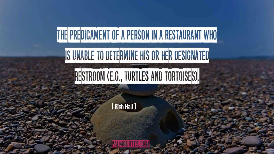 Endangered Turtles quotes by Rich Hall