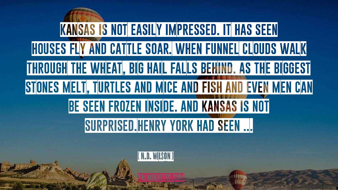 Endangered Turtles quotes by N.D. Wilson