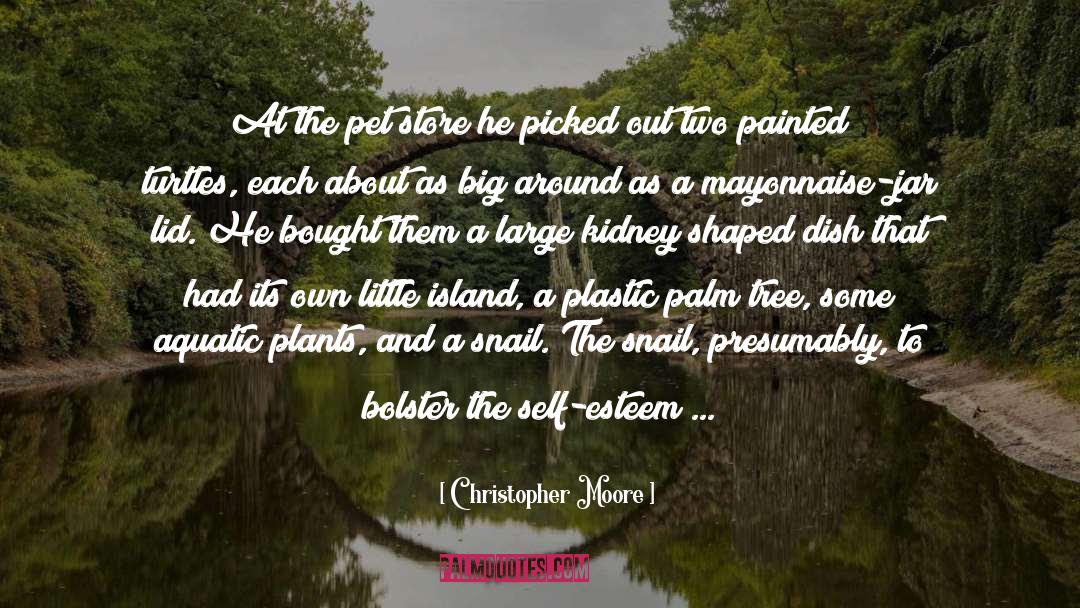 Endangered Turtles quotes by Christopher Moore
