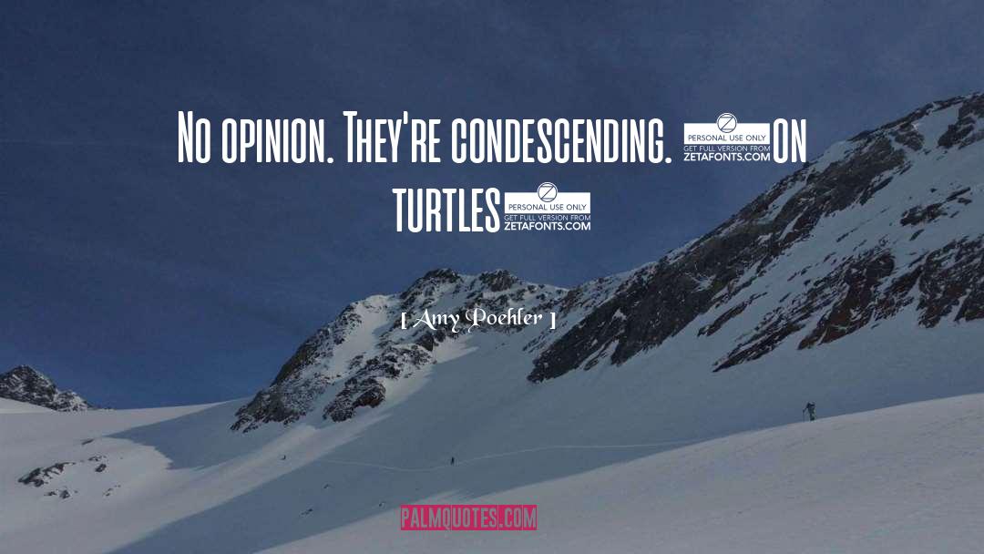 Endangered Turtles quotes by Amy Poehler