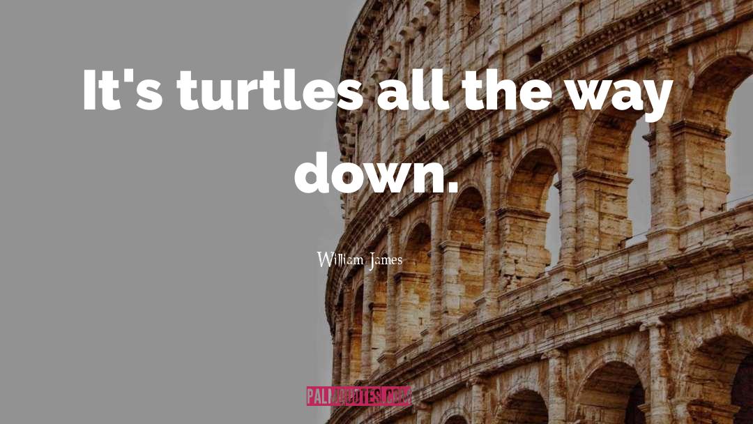 Endangered Turtles quotes by William James