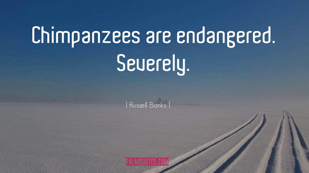 Endangered Turtles quotes by Russell Banks