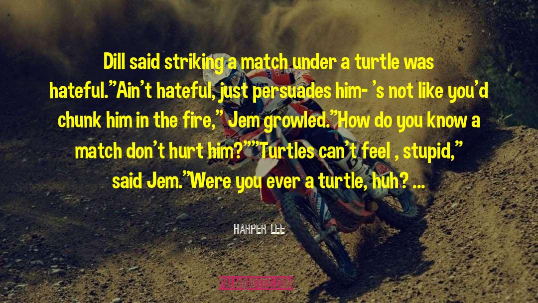 Endangered Turtles quotes by Harper Lee
