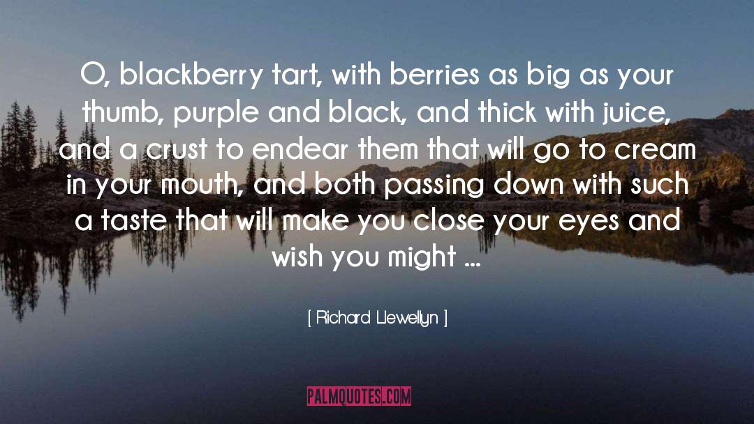 Endear quotes by Richard Llewellyn