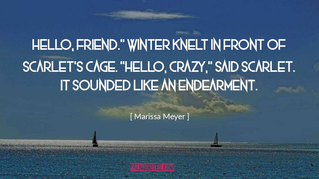 Endearment quotes by Marissa Meyer