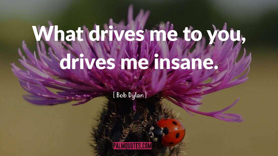 Endearment quotes by Bob Dylan