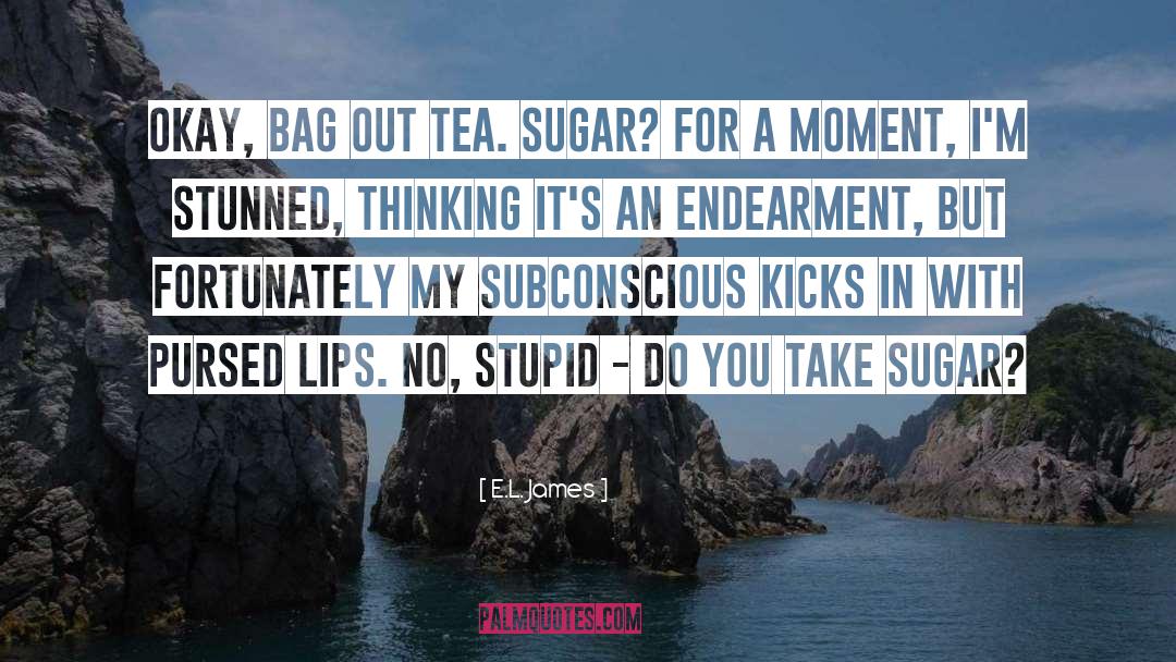 Endearment quotes by E.L. James