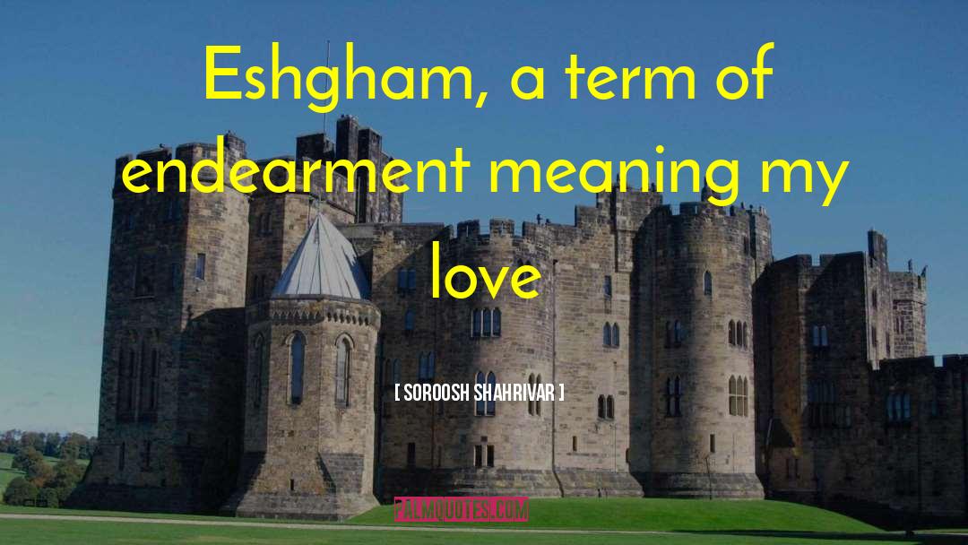 Endearment quotes by Soroosh Shahrivar