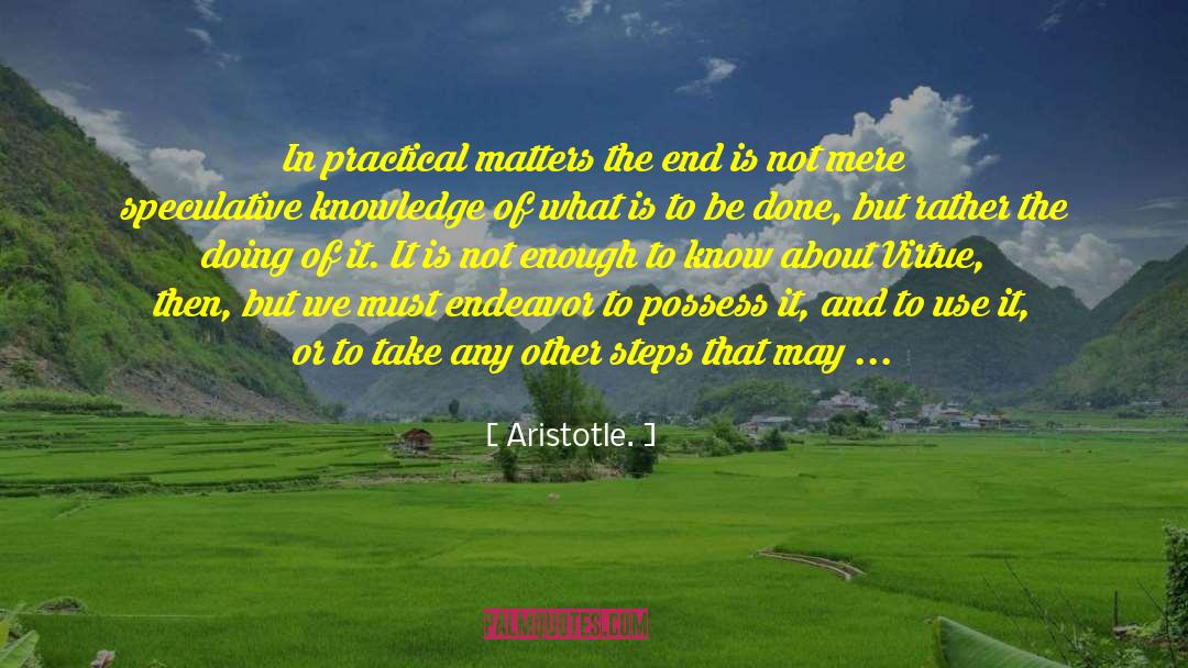 Endeavor quotes by Aristotle.