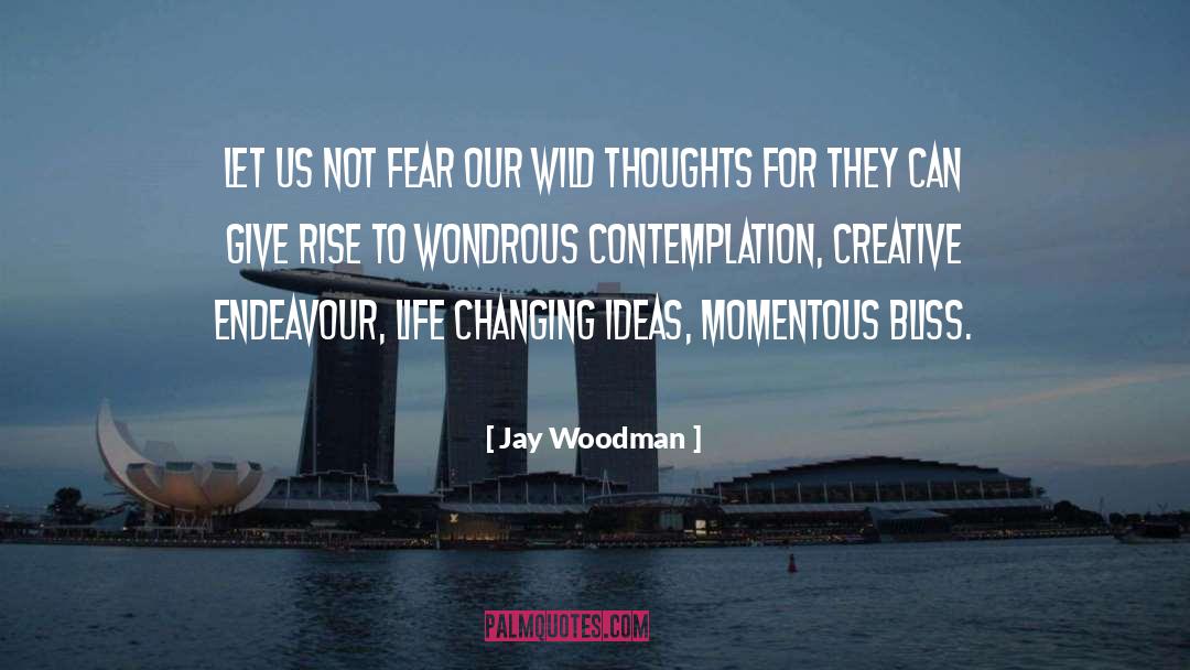 Endeavour quotes by Jay Woodman