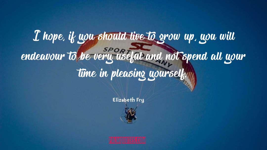 Endeavour quotes by Elizabeth Fry