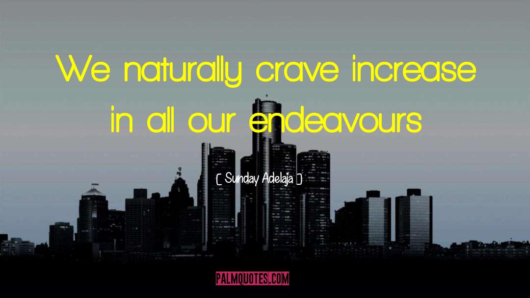 Endeavours quotes by Sunday Adelaja