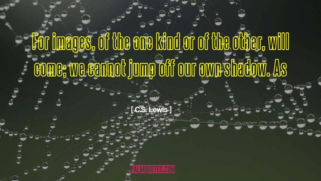 Ender S Shadow quotes by C.S. Lewis