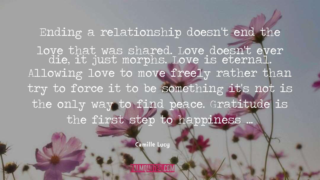 Ending A Relationship quotes by Camille Lucy